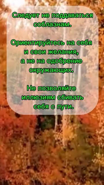 Стрельцы. Прогноз на ноябрь #астролог #прогнознамесяц смотреть онлайн