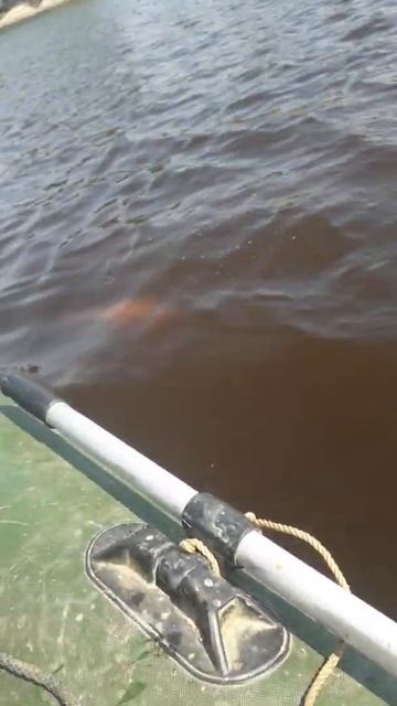 Супер отдых на Сибирских реках!!!! смотреть онлайн