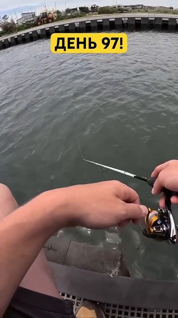 ДЕНЬ 97!ПОЙМАТЬ РЫБУ С ПЕРВОГО ЗАБРОСА! #первыйзаброс #щ смотреть онлайн