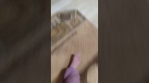 Викины песни