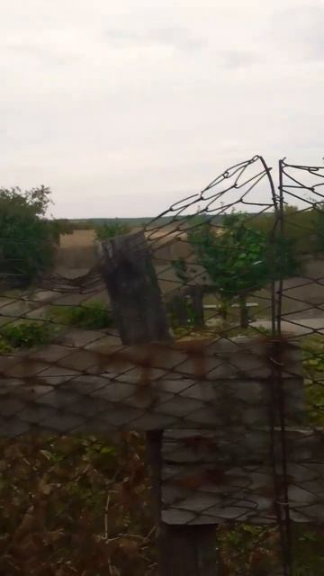 Я вам показал огород, он очень красивый! смотреть онлайн