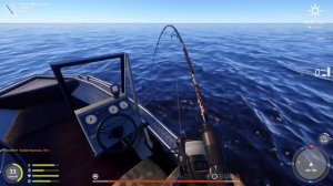 Русская рыбалка 4. рр4. Ладожский архипелаг. Как правил?