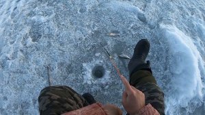 весенняя рыбалка отчеты о рыбалке за 30.03.2021 безмотылка