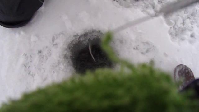 7 янв 2025 г Иваньковское вдхр, щука промазала.