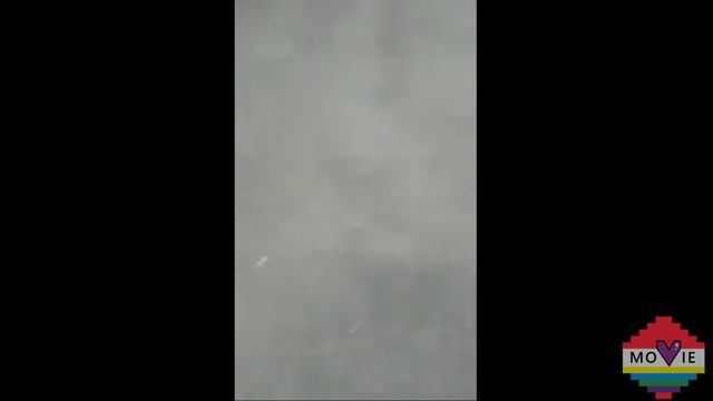 Дебилы 80 уровня! Подборка 2019! #12 Лучшие приколы! Фэйлы!