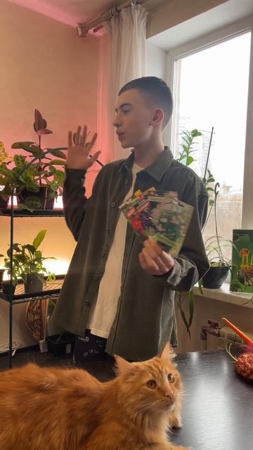 ПОСЕЙТЕ ЭТО СЕЙЧАС! #garden #выращивайте #огород #дача #сад смотреть онлайн