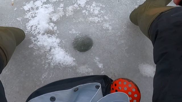 Опасный «последний» лед. Ловим окуней на мелководье #о