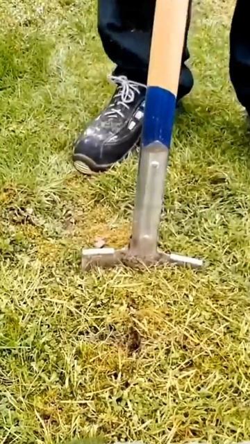 Как посадить саженец смотреть онлайн