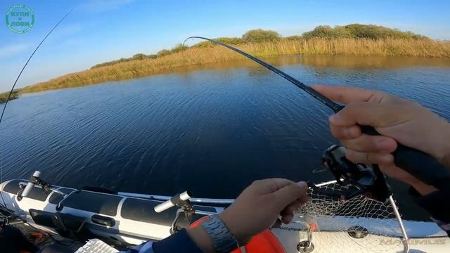 Спиннинг для ловли окуня Maximus Perch Zone.