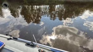 Рыбалка на реке Омь в Новосибирской области. Новые мес