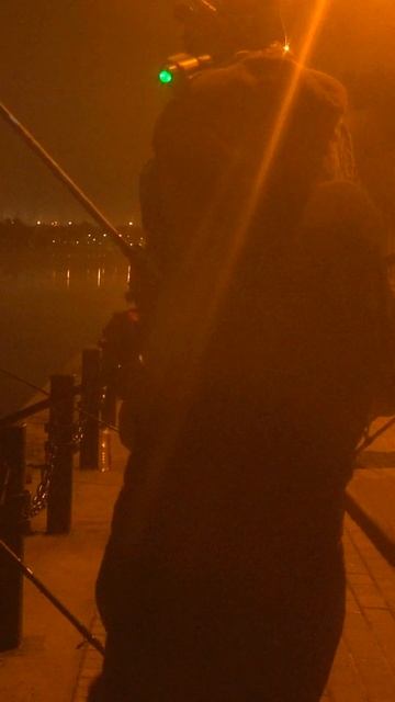 Не ЗРЯ ехали😅.... Наши ТРОФЕИ 💥 на Москве реке #рыбалк?