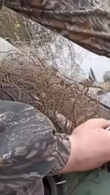 зацепил старую дедовскую рыболовную сеть смотреть онлайн