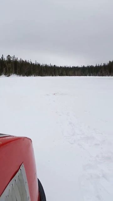 Ну неужели и я выбрался на природу 🌳 #север #весна #сне