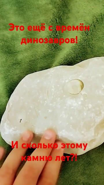 сколько ему лет! #Актив #пж #sorts