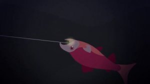 Как поймать Noctisa (Ноктиса) из игры Cat Goes Fishing