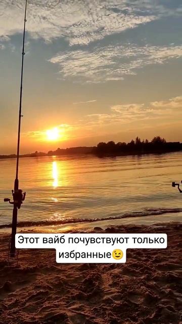 Летняя рыбалка🔥 #рыбалка #рыба #донки #щука #природа #с смотреть онлайн