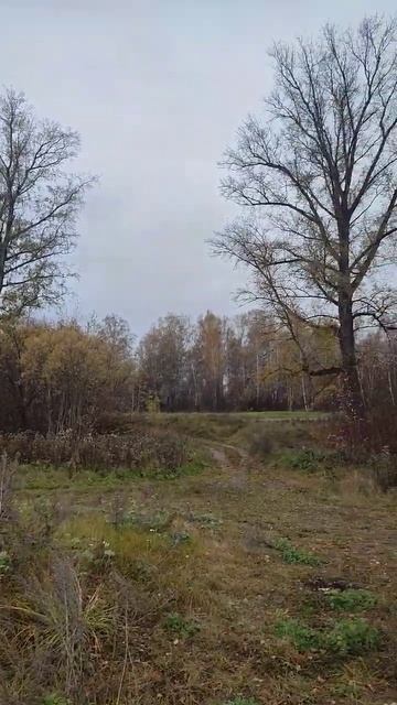 рыбалка осенью Енисей смотреть онлайн