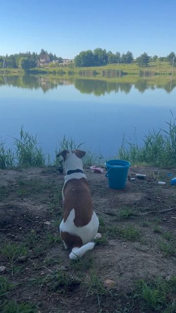 А сейчас клюет😄#рыбалка #подпишись