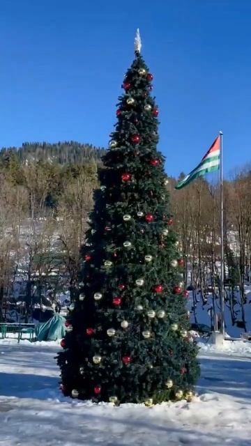 Едем на легендарное высокогорное озеро Рица в Абхазии смотреть онлайн