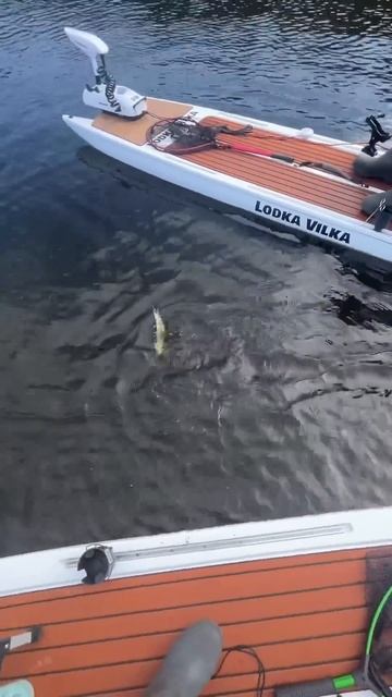 Мотор сам доставит на базу, пока смотришь в телефон! # смотреть онлайн