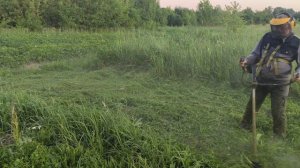 Летняя работа. Покос травы триммером Alpina.