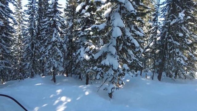 Мы НЕ ОЖИДАЛИ ТАКОГО ФИНАЛА! Последний день в тайге (всё пошло не так) смотреть онлайн