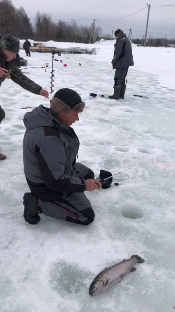 Поимка до запуска!!! Платная рыбалка в Егорьевске. /Рыб?