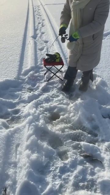 Рыбалка с Мамой 🎣🐟 #fishing #карелия #рыбалка #icefishing #зим? смотреть онлайн