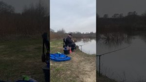ELEGANCE PRO FEEDER V2 3,6 m 100 gr гружу по максимуму