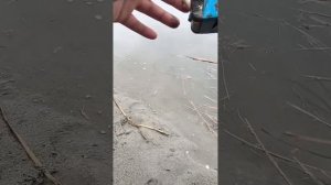 НАШЁЛ СТАРУЮ КОРОБОЧКУ!!! Ч.1 #поисковыймагнит #находки