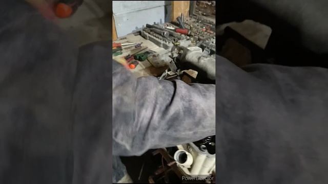 Opel Astra 1.6 - Спасение кошки и двигателя, поршневая стучит смотреть онлайн