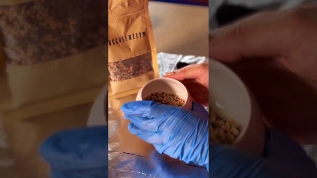 Пересадка для меня как медитация, а для вас? смотреть онлайн