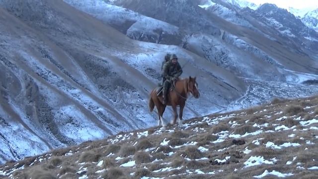 ГОРНАЯ ОХОТА НА ДАГЕСТАНСКОГО ТУРА смотреть онлайн