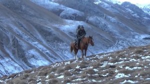 ГОРНАЯ ОХОТА НА ДАГЕСТАНСКОГО ТУРА