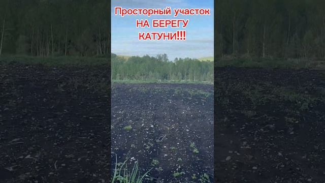 13-05-2025 смотреть онлайн