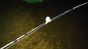 20 килограмм леща. Рыбалка в Угличе 2024.