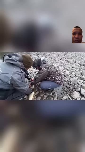 #fishing #якутия #щуканаспиннинг #fish #icefishing #carpfishing #icefishinglife смотреть онлайн