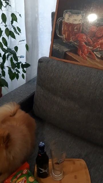 субботний вечер 🍻  🦞