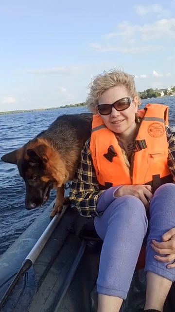 Белый клык😄 смотреть онлайн