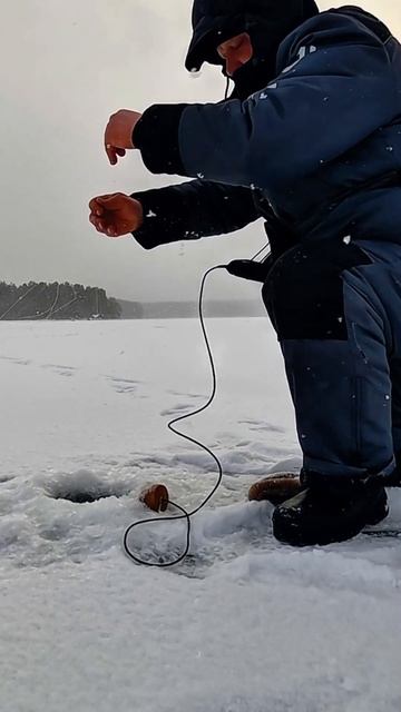 на рыбалке #зимняярыбалка #рыбалканаозере #карелия смотреть онлайн