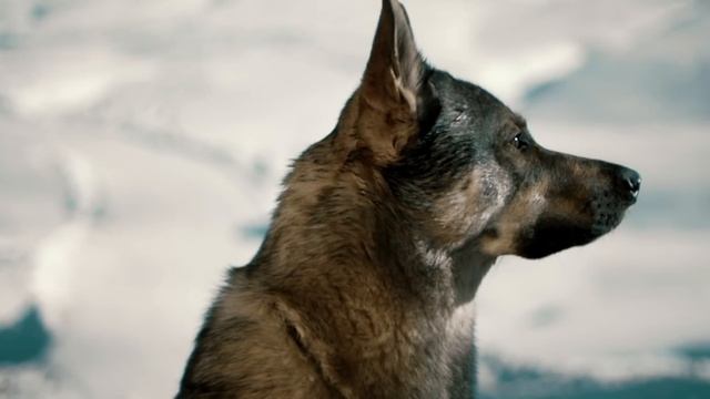 FEUERSCHWANZ - Bastard Von Asgard Feat. Fabienne Erni (Eluveitie) (Official Video) - Napalm Records