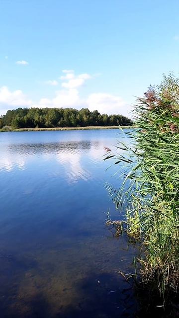 Рыбалка на Матырском водохранилище. Ярлуково. смотреть онлайн