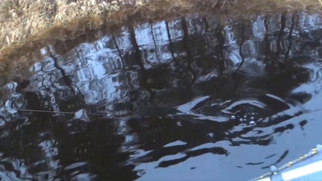 Рыболовные Секреты Луги. Сплав. Закрыл сезон. смотреть онлайн