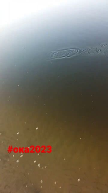 Рыбалка на реке Ока смотреть онлайн