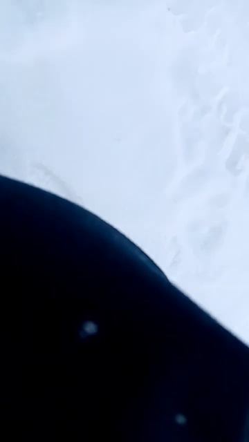 куда девать доллар. смотреть онлайн