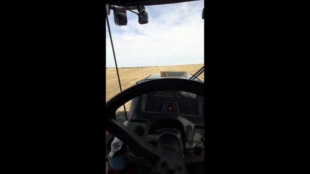 Работа в поле #работа #ростовскаяобласть #поле #россия