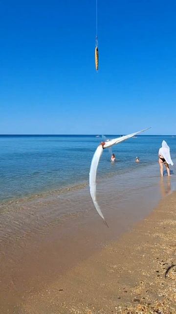 Анапа | Бугазская коса | Сарган смотреть онлайн