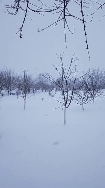 Опять зима на Кубани 11.03.2022 смотреть онлайн