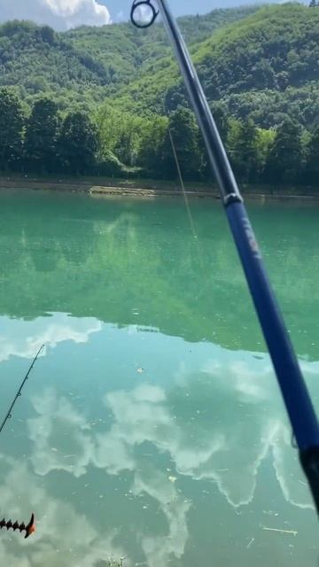 День на рыбалке - маленькая жизнь. Рыбалка на флэт-фиде смотреть онлайн