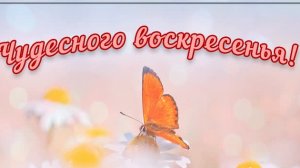 Воскресный день// готовлю борщ//итог огородного дня